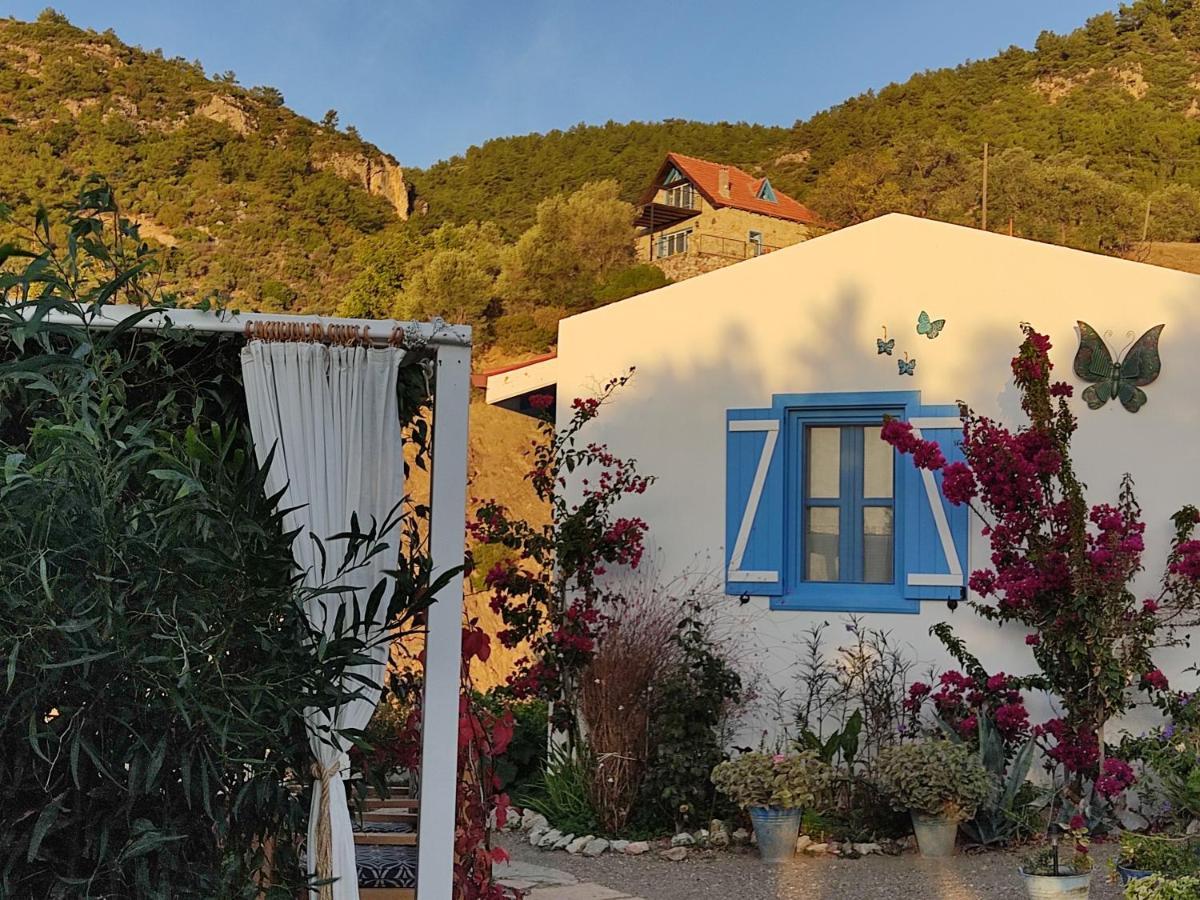 Mavi Kelebek Datça Zewnętrze zdjęcie