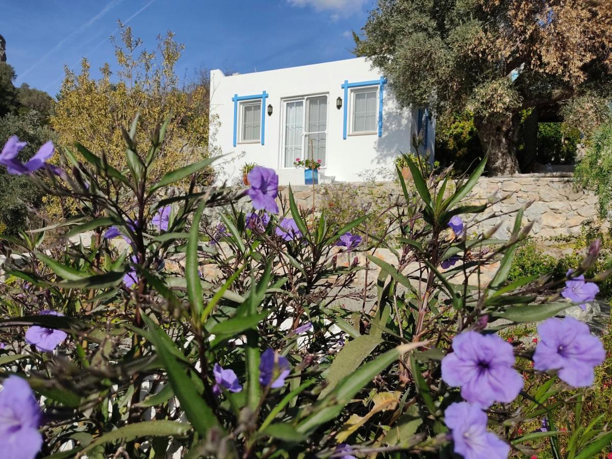 Hotel Mavi Kelebek Datça Zewnętrze zdjęcie