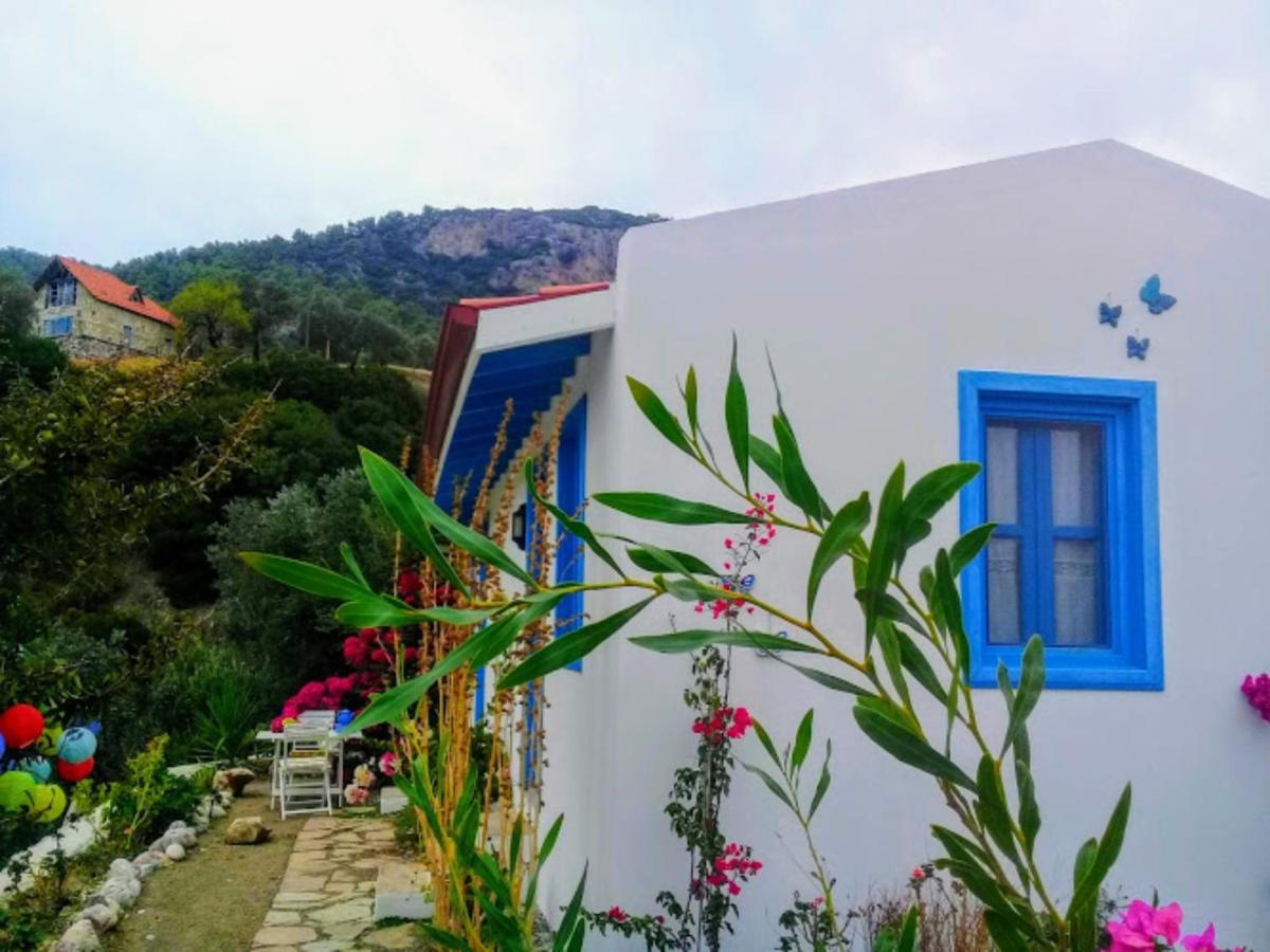 Hotel Mavi Kelebek Datça Zewnętrze zdjęcie