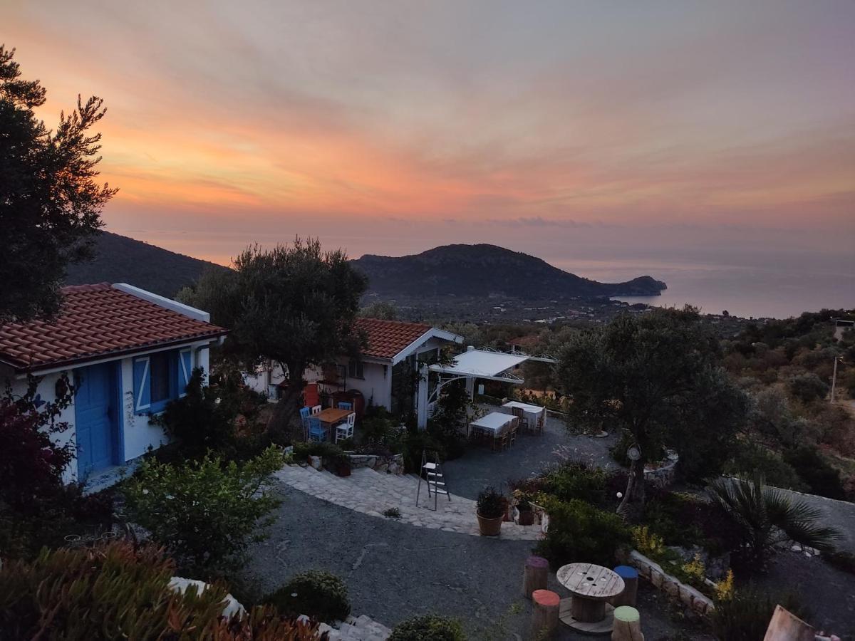 Hotel Mavi Kelebek Datça Zewnętrze zdjęcie