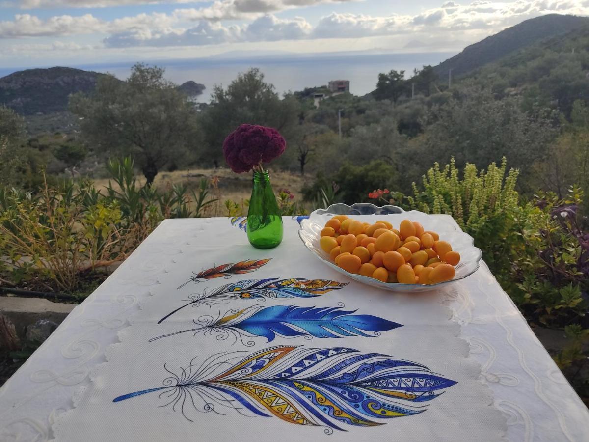 Hotel Mavi Kelebek Datça Zewnętrze zdjęcie