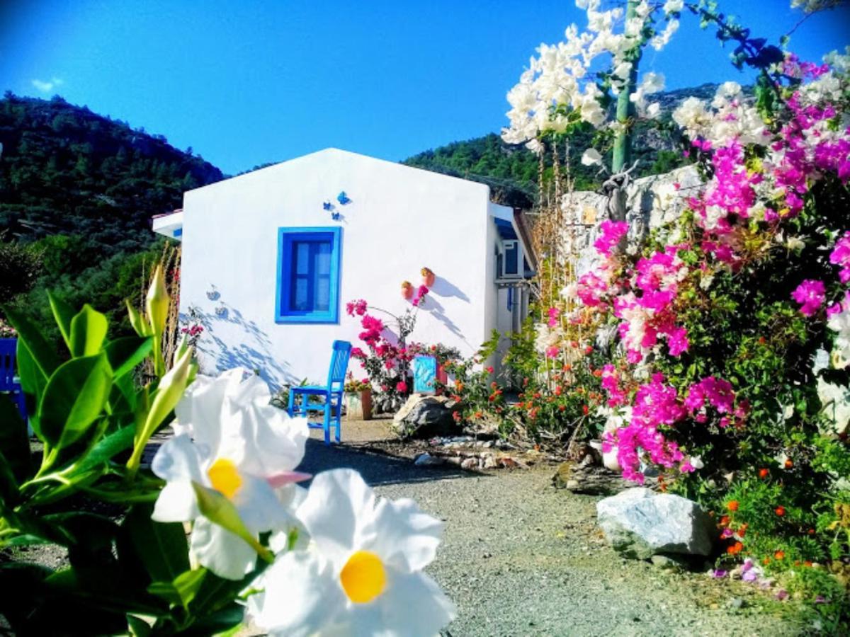 Hotel Mavi Kelebek Datça Zewnętrze zdjęcie