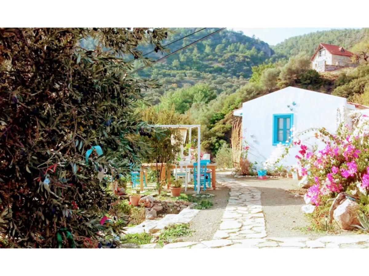 Hotel Mavi Kelebek Datça Zewnętrze zdjęcie