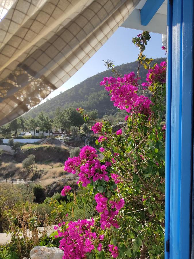Hotel Mavi Kelebek Datça Zewnętrze zdjęcie